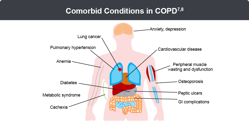 Pathophysiology Copd Clinician